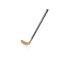 Hockey Stick